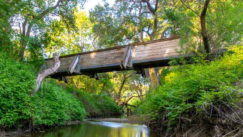 A bridge spanning a small stream lined with trees and ferns in Dublin California – Photo by Rich Ash