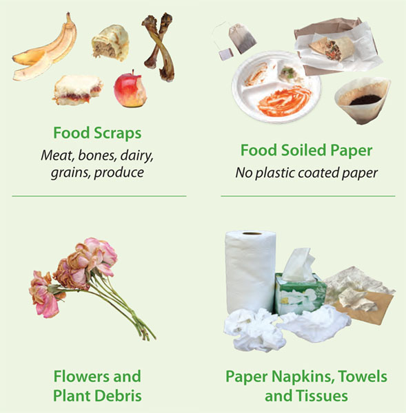 Materials that can be placed in food waste container, such as food scraps and food soiled paper